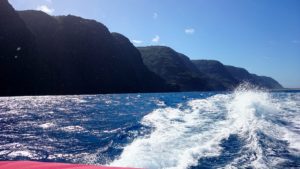 Napali Coast Kauai