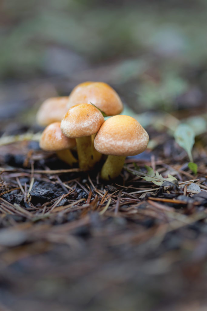 Masterminds for Business-Long-Term vs Short-Term